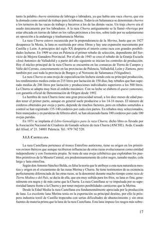 tanto la palabra churra sinónima de labriega o labradora, ya que había una vaca churra, que era
la domada como animal de trabajo para la labranza. Todavía en Salamanca se denominan churros
a los terneros de las vacas de trabajo y becerros a los de las demás vacas. Un traje churro era el
usado únicamente por los labradores. A la raza Churra antiguamente se la llamó riberiega por
estar ubicada en tierras de labor en los valles próximos a los ríos, sobre todo por su sedentarismo
en oposición a la andariega y trashumancia Merina.
La raza Churra estuvo oscurecida por la preponderancia de la Merina, hasta que en 1827
desaparece la Mesta, la lana es sustituida por otras fibras y hay una expansión nuevamente por
Castilla y León. A principios del siglo XX despierta el interés como raza con grandes posibili-
dades lecheras. En 1909 se crea en Palencia el primer rebaño de selección, dependiente del Ser-
vicio de Mejora Ganadera Provincial. Por el año de 1945 se crea el rebaño de la Granja Escuela
«José Antonio» de Valladolid y a partir del año siguiente se inician los controles de producción.
Hoy el núcleo principal de la raza Churra se encuentra en las comarcas de Tierra de Campos y
Valle del Cerrato, concretamente en las provincias de Palencia, Valladolid, León y Zamora, pero
también por casi toda la provincia de Burgos y al Noroeste de Salamanca (Vitigudino).
La raza Churra es una oveja de especialización lechera siendo esta su principal producción,
los rendimientos medios están en 215 litros por lactación de 150 días; hay rebaños que han supe-
rado medias de 246 litros por lactación y producciones individuales superiores a los 500 litros.
La Churra se adapta muy bien al ordeño mecánico. Con su leche se elabora el queso zamorano,
con garantía oficial de Denominación de Origen desde 1992.
La hembra de raza Churra tiene una gran precocidad sexual, a los diez meses de edad pue-
den tener el primer parto, aunque en general suele producirse a los 14-16 meses. El número de
corderos obtenidos por oveja y parto, depende de muchos factores, pero en rebaños sometidos a
control se han registrado 135-140 corderos por cada cien partos. En rebaños muy seleccionados,
bien manejados y en parideras de febrero-abril, se han alcanzado hasta 180 corderos por cada 100
ovejas paridas.
En 1971 se implanta el Libro Genealógico para la raza Churra, dicho libro es llevado por
la Asociación Nacional de Criadores de Ganado selecto de raza Churra (ANCHE). Avda. Casado
del Alisal, nº 21. 34001 Palencia. Tel.: 979 742 520.
3.1.3. CASTELLANA
La raza Castellana pertenece al tronco Entrefino autóctono, tiene su origen en los primiti-
vos ovinos ibéricos que aunque recibieron influencias de otras razas evolucionaron como entidad
independiente y con fisonomía propia. Se trata de una oveja celtibérica que explotaban los pue-
blos primitivos de la Meseta Central, era predominantemente de color negro, tamaño medio, cola
larga y lana entrefina.
Según donAntonio Sánchez Belda, es falsa la teoría que le atribuye a esta raza naturaleza mes-
tiza y origen en el cruzamiento de las razas Merina y Churra. Se tiene testimonios de su existencia
perfectamente diferenciada de las otras razas, se la denominó durante mucho tiempo como raza de
Tierra Medina o del País, se decía de ella, que era muy sufrida para los fríos, su lana es fina, gene-
ralmente era negra y de más carne que la Churra. La raza Castellana se ve impulsada por su supe-
rioridad lanera frente a la Churra y por tener mejores posibilidades carniceras que la Merina.
Desde la Edad Media la raza Castellana era fundamentalmente apreciada por la producción
de lana. La excelente lana Merina tenía en la exportación su principal destino, por ello la prós-
pera industria textil de Castilla tropezaba con serias dificultades de abastecimiento y sin otras
fuentes de materia prima que la lana de la raza Castellana. Esta lana impuso los rasgos más sobre-
17
 