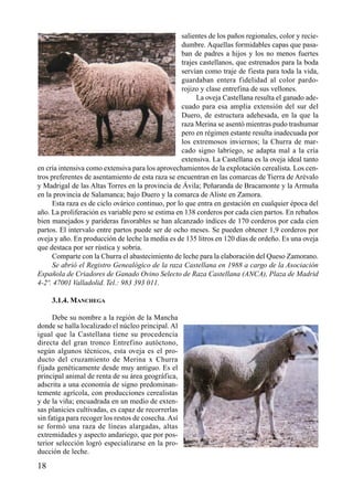 salientes de los paños regionales, color y recie-
dumbre. Aquellas formidables capas que pasa-
ban de padres a hijos y los no menos fuertes
trajes castellanos, que estrenados para la boda
servían como traje de fiesta para toda la vida,
guardaban entera fidelidad al color pardo-
rojizo y clase entrefina de sus vellones.
La oveja Castellana resulta el ganado ade-
cuado para esa amplia extensión del sur del
Duero, de estructura adehesada, en la que la
raza Merina se asentó mientras pudo trashumar
pero en régimen estante resulta inadecuada por
los extremosos inviernos; la Churra de mar-
cado signo labriego, se adapta mal a la cría
extensiva. La Castellana es la oveja ideal tanto
en cría intensiva como extensiva para los aprovechamientos de la explotación cerealista. Los cen-
tros preferentes de asentamiento de esta raza se encuentran en las comarcas de Tierra de Arévalo
y Madrigal de las Altas Torres en la provincia de Ávila; Peñaranda de Bracamonte y la Armuña
en la provincia de Salamanca; bajo Duero y la comarca de Aliste en Zamora.
Esta raza es de ciclo ovárico continuo, por lo que entra en gestación en cualquier época del
año. La proliferación es variable pero se estima en 138 corderos por cada cien partos. En rebaños
bien manejados y parideras favorables se han alcanzado índices de 170 corderos por cada cien
partos. El intervalo entre partos puede ser de ocho meses. Se pueden obtener 1,9 corderos por
oveja y año. En producción de leche la media es de 135 litros en 120 días de ordeño. Es una oveja
que destaca por ser rústica y sobria.
Comparte con la Churra el abastecimiento de leche para la elaboración del Queso Zamorano.
Se abrió el Registro Genealógico de la raza Castellana en 1988 a cargo de la Asociación
Española de Criadores de Ganado Ovino Selecto de Raza Castellana (ANCA), Plaza de Madrid
4-2º. 47001 Valladolid. Tel.: 983 393 011.
3.1.4. MANCHEGA
Debe su nombre a la región de la Mancha
donde se halla localizado el núcleo principal. Al
igual que la Castellana tiene su procedencia
directa del gran tronco Entrefino autóctono,
según algunos técnicos, esta oveja es el pro-
ducto del cruzamiento de Merina x Churra
fijada genéticamente desde muy antiguo. Es el
principal animal de renta de su área geográfica,
adscrita a una economía de signo predominan-
temente agrícola, con producciones cerealistas
y de la viña; encuadrada en un medio de exten-
sas planicies cultivadas, es capaz de recorrerlas
sin fatiga para recoger los restos de cosecha.Así
se formó una raza de líneas alargadas, altas
extremidades y aspecto andariego, que por pos-
terior selección logró especializarse en la pro-
ducción de leche.
18
 