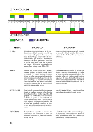 38
LOTE A - COLLARES
LOTE B - COLLARES
MESES GRUPO “A” GRUPO “B”
EN FB MZ AB MY JN JL AG SP OC NV DCDC EN FB MR AB MY JUN JL AG SP OC NV DC
PARTOS CUBRICIONES
Llevarán collar azul procedente de la pari-
dera de mayo del año anterior, a medida que
van pariendo se le quita el collar azul y se le
pone el amarillo que corresponde a la pari-
dera de enero, que se inició a mediados de
diciembre. Las ovejas que una vez finalizado
el mes de enero tienen collar azul es que no
han parido y deberán ser identificadas con
alguna chapa antes de pasar al lote “B”.
Estamos ante la cubrición más difícil del año,
conviene introducir los machos el 20 de marzo,
provocando “el efecto macho”, al mismo
tiempo se aplica una correcta suplementación
alimenticia para estimular la aparición de los
celos “Flushing”. Es recomendable en esta
cubrición del mes de abril preparar con la ante-
lación suficiente un 25% de ovejas con un
método de sincronización de celos.
A mediados de abril se inician los partos cuya
máxima concentración tendrá lugar en el mes
de mayo, a medida que van pariendo se les
quitará el collar rojo y se les pondrá el azul de
la paridera de mayo. Se hará la cubrición de
repesca que siempre será a los tres meses de la
cubrición normal para que coincidan con el
parto del otro lote.
Las cubriciones se iniciaron a mediados de julio y
tendrán lugar durante todo el mes de agosto.
En el mes de agosto se hará la repesca para
las que no quedaron gestantes en la cubrición
de abril pasándolas al final de la paridera del
grupo B. La paridera ha debido iniciarse a
mediados de agosto, se irán cambiando los
colores amarillos por rojos y las que llevan
color rojo con chapa porque proceden del
grupo B y a finales de septiembre se com-
prueba que no han parido deberán ser elimi-
nadas.
A mediados de noviembre se iniciaron las
cubriciones que terminarán al final de
diciembre. No olvidar la repesca de cubricio-
nes del lote B.
A mediados de diciembre se iniciaron los par-
tos que tendrán lugar durante todo el mes de
enero, quitándoles el collar azul y poniéndole
el amarillo de la paridera de enero.
Llevarán collar rojo procedente de la paridera
de septiembre del año anterior. Habrá termi-
nado a finales de diciembre el periodo de
cubriciones.
ENERO
ABRIL
SEPTIEMBRE
DICIEMBRE
 