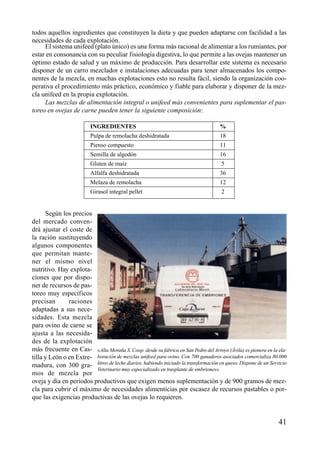todos aquellos ingredientes que constituyen la dieta y que pueden adaptarse con facilidad a las
necesidades de cada explotación.
El sistema unifeed (plato único) es una forma más racional de alimentar a los rumiantes, por
estar en consonancia con su peculiar fisiología digestiva, lo que permite a las ovejas mantener un
óptimo estado de salud y un máximo de producción. Para desarrollar este sistema es necesario
disponer de un carro mezclador e instalaciones adecuadas para tener almacenados los compo-
nentes de la mezcla, en muchas explotaciones esto no resulta fácil, siendo la organización coo-
perativa el procedimiento más práctico, económico y fiable para elaborar y disponer de la mez-
cla unifeed en la propia explotación.
Las mezclas de alimentación integral o unifeed más convenientes para suplementar el pas-
toreo en ovejas de carne pueden tener la siguiente composición:
INGREDIENTES %
Pulpa de remolacha deshidratada 18
Pienso compuesto 11
Semilla de algodón 16
Gluten de maíz 5
Alfalfa deshidratada 36
Melaza de remolacha 12
Girasol integral pellet 2
Según los precios
del mercado conven-
drá ajustar el coste de
la ración sustituyendo
algunos componentes
que permitan mante-
ner el mismo nivel
nutritivo. Hay explota-
ciones que por dispo-
ner de recursos de pas-
toreo muy específicos
precisan raciones
adaptadas a sus nece-
sidades. Esta mezcla
para ovino de carne se
ajusta a las necesida-
des de la explotación
más frecuente en Cas-
tilla y León o en Extre-
madura, con 300 gra-
mos de mezcla por
oveja y día en periodos productivos que exigen menos suplementación y de 900 gramos de mez-
cla para cubrir el máximo de necesidades alimenticias por escasez de recursos pastables o por-
que las exigencias productivas de las ovejas lo requieren.
41
«Alta Moraña S. Coop. desde su fábrica en San Pedro delArroyo (Ávila) es pionera en la ela-
boración de mezclas unifeed para ovino. Con 700 ganaderos asociados comercializa 80.000
litros de leche diarios, habiendo iniciado la transformación en queso. Dispone de un Servicio
Veterinario muy especializado en trasplante de embriones».
 