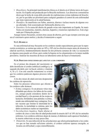 • Brucelósico. Su principal manifestación clínica es el aborto en el último tercio de la ges-
tación. En España está producida por la Brucella melitensis. Las directivas comunitarias
dicen que la leche de oveja debe proceder de explotaciones ovinas indemnes de brucelo-
sis, por lo que debe ser prioritario para cualquier ganadero el control de esta enfermedad
que tiene repercusión en la salud humana.
• Paratífico. Se manifiesta con fiebre, anorexia, diarrea e incluso muerte de algunas ove-
jas afectadas. Está ocasionado por Salmonella abortus ovis.
• Enzoótico. Es la causa del aborto de ganado ovino más importante en España. Se mani-
fiesta con neumonías, mamitis, diarreas, hepatitis y trastornos reproductivos. Está origi-
nado por Chlamydia psittaci.
Aunque menos frecuentes, existen otras causas de abortos, por lo que siempre conviene que
sea el veterinario quien analice y decida el tratamiento a seguir.
9.1.3. DIARREAS
Es una enfermed ad muy frecuente en los corderos siendo especialmente grave por la reper-
cusión económica, se estima que entre un 10% y 30% de los efectivos muere antes de alcanzar la
edad de sacrificio, fundamentalmente durante las dos primeras semanas de vida. La vacunación
en algunos casos puede ser eficaz, pero cuidar la higiene en los alojamientos es la mejor medida
preventiva. Analizar las muestras de heces en laboratorio antes de hacer el tratamiento.
9.1.4. PROCESOS INFECCIOSOS QUE AFECTAN A LOS CORDEROS
En el primer día después del nacimiento se
debe desinfectar el cordón umbilical (ombligo) y al
segundo día darle, por vía bucal, selenio y vitamina
A, D y E. Con este sencillo tratamiento se evitará
que los corderos padezcan algunos procesos infec-
ciosos.
A los dos meses de edad conviene desparasitar
las corderas de reposición.
Entre los procesos infecciosos que afectan a
los corderos cabe destacar:
• Ectima contagioso. Es un proceso vírico muy
difundido que afecta a los labios de los corde-
ros, aunque puede extenderse dentro de la
cavidad bucal y a los pezones de las ovejas en
lactación, formándose unas pústulas o costras,
siendo una enfermedad muy contagiosa. Exis-
ten vacunas que limitan la intensidad de la
infección, la mortalidad es mínima, pero los
daños económicos suelen ser importantes.
• Necrobacilosis hepática. Suele afectar al
cordero de cinco a siete días de edad produciendo la muerte del 5 al 10% de los animales
enfermos. Los corderos enfermos dejan de mamar, el abdomen suele aparecer hinchado y
la muerte sobreviene en muy pocos días.
• Poliartritis. Es una infección de las articulaciones que afecta principalmente a los corde-
ros que no han tomado suficiente calostro, el cordero enfermo aparece encogido, se
levanta con dificultad y cojea ostensiblemente.
59
Pediluvio.
 