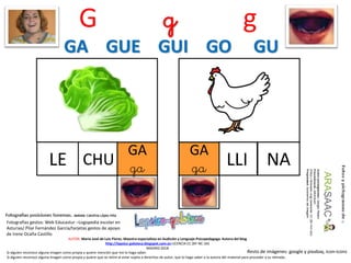 G g g
LE CHU
AUTOR: María José de Luis Flores. Maestra especialista en Audición y Lenguaje-Psicopedagoga. Autora del blog
http://lapsico-goloteca.blogspot.com.es LICENCIA CC (BY-NC-SA)
MADRID 2018
GA
ga NALLI
GA
ga
Si alguien reconoce alguna imagen como propia y quiere mención que me lo haga saber.
Si alguien reconoce alguna imagen como propia y quiere que se retire al estar sujeta a derechos de autor, que lo haga saber a la autora del material para proceder a su retirada..
Fotografías gestos: Web Educastur –Logopedia escolar en
Asturias/ Pilar Fernández García/tarjetas gestos de apoyo
de Irene Ocaña Castillo
Resto de imágenes: google y pixabay, icon-icons
GA GUE GUI GO GU
 