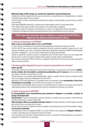 17
Salud Animal Fiebre Aftosa la enfermedad que no debemos olvidar
CUADERNOS GANADEROS 12
Mientras llega el ICA, tenga en cuenta las siguientes recomendaciones:
• Separe los animales sospechosos de los que se ven sanos y si es posible destine un trabajador para su cuidado.
• Provéales agua y pasto tierno a voluntad.
• No los sujete, si lo hace, contaminará los elementos de manejo y a través de ellos y de usted mismo, infectará
otros animales.
• No aplique NINGÚN tratamiento, recuerde que las enfermedades virales no tienen tratamientos.
• Por ningún motivo saque animales a otros predios, ferias comerciales y mataderos.
• Restrinja el ingreso de visitantes y de transportes y ni usted ni sus trabajadores visiten otros predios.
• Programe la entrega de la leche a la entrada del predio y lave y desinfecte por fuera las cantinas.
e. Cómo se diagnostica la AFTOSA?
Sólo a ojo no se puede saber si es o no AFTOSA.
La única manera de identificarla es mediante pruebas diagnósticas de laboratorio hechas por el ICA.
Los M.V. del ICA, bajo estrictas medidas de seguridad, toman las muestras de epitelio y sangre de uno o más
animales infectados y las envían al Laboratorio Nacional de Diagnóstico Veterinario (LNDV) de Enfermedades
vesiculares en Bogotá D.C., que es el único acreditado para confirmar la enfermedad.
Cuando la calidad de la muestra lo permite, el diagnóstico de LA AFTOSA está el mismo día y las medidas para
eliminar el foco y reducir el riesgo de infectar nuevos predios se pueden aplicar inmediatamente.
Para confirmar o descartar AFTOSA, el ICA hace un diagnóstico diferencial con Estomatitis vesicular, que presenta
signos y lesiones parecidas.
f. Existen pruebas diagnósticas para reconocer qué predios no vacunan?
Claro que SÍ!
El ICA puede identificar los predios que no vacunan y los animales que no se presentan a la vacunación, midien-
do los niveles de inmunidad o protección producidos por la vacuna con lo cual determina
qué predios y animales no vacunaron en un ciclo.
Si deja de vacunar, sus animales quedan desprotegidos, expone su capital, el de los vecinos y el estatus de país
libre y se arriesga a sanciones contempladas en la norma ICA.
Igualmente, el ICA puede determinar si los ganados están o no vacunados cuando comprueba si hay virus
circulando en su predio, lo cual indica que los animales no se vacunaron.
La positividad a estas pruebas deja sin excusa a los ganaderos que no vacunan y los expone a que la ley los
responsabilice porque están comprometiendo al país con emergencias sanitarias muy costosas.
g. Cómo se previene la AFTOSA?
La bioseguridad como herramienta para prevenir la llegada a su predio y reducir el
riesgo de dispersarla
No permita el ingreso de transportes y personas extrañas a su predio ni que sus vaqueros visiten fincas con
animales afectados por cualquier enfermedad.
Solo compre o lleve a su predio animales sanos: No compre animales sin el RUV vigente, recuerde
que este solo tiene una validez por seis meses.
Vacune Todos los bovinos y bufalinos de todas las edades y esté atento para que sus vecinos también lo hagan,
no esconda animales.
• Recuerde que el ICA no le expedirá la GSMI, si al cruzar el RUV con los inventarios del Registro Oficial de
su predio, comprueba que tiene diferente número de animales.
• Si no presenta a la vacunación: Animales enfermos, al parir, o a movilizar la semana siguiente a la vacunación,
regístrelos en el RUN como no vacunados.
Todo signo de vesicular, cojera o babeo, es sospecha de AFTOSA y
debe ser una alarma sanitaria para su finca
 