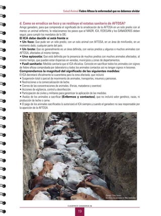 19
Salud Animal Fiebre Aftosa la enfermedad que no debemos olvidar
CUADERNOS GANADEROS 12
d. Como se erradica un foco y se restituye el estatus sanitario de AFTOSA?
Amigo ganadero, para que comprenda el significado de la erradicación de la AFTOSA en un solo predio con al
menos un animal enfermo, le relacionamos los pasos que el MADR, ICA, FEDEGAN y los GANADEROS deben
seguir, para cumplir los mandatos de la OIE:
El ICA debe decidir si está frente a:
• Un foco: Que pude ser un sólo predio, con un solo animal con AFTOSA, en un área de minifundio, en un
momento dado, cualquier parte del país.
• Un brote: Que es generalmente es un área definida, con varios predios y algunos o muchos animales con
AFTOSA, afectados al mismo tiempo.
• Una epizootia: Que está definida por la presencia de muchos predios con muchos animales afectados, al
mismo tiempo, que pueden estar dispersas en veredas, municipios y zonas de departamentos.
• Fusil sanitario: Medida sanitaria que el ICA oficializa. Consiste en sacrificar todos los animales con signos
de fiebre aftosa comprobada por laboratorio y todos los animales contactos así no tengan signos ni lesiones.
Comprendamos la magnitud del significado de las siguientes medidas:
El ICA decretará oficialmente la cuarentena para la zona afectada, que incluirá:
• Suspensión total o parcial de movimiento de animales, transportes, insumos y personas.
• Restricciones a la comercialización de leche.
• Cierres de las concentraciones de animales. (Ferias, mataderos y eventos)
• Acciones de vigilancia, control y desinfección.
• Participación de civiles y militares para garantizar la aplicación de las medidas.
• Avalúo de los animales a sacrificar (Enfermos y contactos), que no incluirá valor genético, razas, ni
producción de leche o carne.
• El pago de los animales sacrificados lo autorizará el ICA siempre y cuando el ganadero no sea responsable por
la aparición de la AFTOSA.
Fuente: Clara Torres
Sacrificio de animales en Tibú, Colombia
 