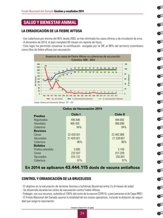 PRIMER SEMESTRE DE 2015
24
Fondo Nacional del Ganado Gestión y resultados 2014
- Con coberturas por encima del 95% desde 2003, se han eliminado los casos clínicos y de circulación de virus
- A diciembre de 2014, el país completó 65 meses sin reporte de focos.
- Este logro ha permitido conservar la certificación otorgada por la OIE al 98% del territorio colombiano
como libre de fiebre aftosa con vacunación.
Ciclos deVacunación 2014
Predios
Registrados 495.646
Atendidos 		 466.435
Cobertura 		 94%
Bovinos
Censo		 22.428.501
Vacunados		 21.428.501
Cobertura			 96%
Búfalos
Predios atendido: 3.000
Censo		 232.937
Vacunados 		 225.122
Cobertura			 97%
En 2014 se aplicaron 43.444.115 dosis de vacuna antiaftosa
CONTROL Y ERRADICACIÓN DE LA BRUCELOSIS
- El objetivo es la vacunación de terneras bovinas y bufalinas (bucerras) entre 3 y 8 meses de edad.
- Se desarrolla durante los ciclos de vacunación contra Fiebre Aftosa.
- Fedegán, con sus recursos, subsidia el 100% del costo de la vacuna CEPA19, y parcialmente el de Cepa RB51.
- El Fondo Nacional del Ganado asume la totalidad de los costos operativos, incluida la dotación de seguri-
dad que exige la vacunación.
SALUD Y BIENESTAR ANIMAL
LA ERRADICACIÓN DE LA FIEBRE AFTOSA
0
50
100
150
200
250
1995 1997 1999 2001 2003 2005 2007 2009 2011 2013 201419981996 20022000 2004 2006 2008 2010 2012
25
75
125
175
225
224
105 104
36
57
5450
57 56
82
86
91 93 95 95 95 95 95 95 95 96
39
6
0 2 1 00 0 0 0 0 0
969696
0
20
40
60
80
100
120
% VACUNACIÓN BOVINOSNo. DE FOCOS % VACUNACIÓN PREDIOS
%decobertura
No.defocos
9 7
1
77
71
76 86
88
89 9191 93 92 91 93 94
96
949494 92
Ausencia de casos de Fiebre Aftosa vs coberturas de vacunación.
Colombia 1995 - 2014
Fuente: Sistema de Información Técnica - SIT – ICA
494.692
466.698
94%
22.462.866
21.539.801
96%
3.109
257.209
250.691
97%
Ciclo I Ciclo II
 