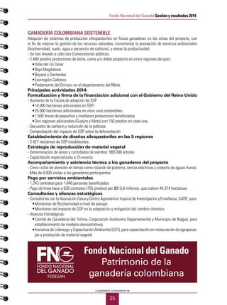 35
CUADERNOS GANADEROS 12
Fondo Nacional del Ganado Gestión y resultados 2014
GANADERÍA COLOMBIANA SOSTENIBLE
Adopción de sistemas de producción silvopastoriles en fincas ganaderas en las zonas del proyecto, con
el fin de mejorar la gestión de los recursos naturales, incrementar la prestación de servicios ambientales
(biodiversidad, suelo, agua y secuestro de carbono), y elevar la productividad.
- Se han llevado a cabo dos Convocatorias públicas.
- 2.488 predios productores de leche, carne y/o doble propósito en cinco regiones del país:
•	 Valle del río Cesar
•	 Bajo Magdalena
•	 Boyacá y Santander
•	 Ecorregión Cafetera
•	 Piedemonte del Orinoco en el departamento del Meta.
Principales actividades 2014:
Formalización y firma de la financiación adicional con el Gobierno del Reino Unido
- Aumento de la Escala de adopción de SSP
•	 10.000 hectáreas adicionales en SSPi
•	 25.000 hectáreas adicionales en otros usos sostenibles.
•	 1.500 fincas de pequeños y medianos productores beneficiadas
•	 Dos regiones adicionales (Guajira y Meta) con 150 predios en cada una.
- Secuestro de carbono y reducción de la pobreza
- Comprobación del impacto de SSP sobre la deforestación
Establecimiento de diseños silvopastoriles en las 5 regiones
- 2.421 hectáreas de SSP establecidas.
Estrategia de reproducción de material vegetal
- Determinación de áreas y cantidades de siembra: 980.000 árboles
- Capacitación especializada a 25 viveros.
Acompañamiento y asistencia técnica a los ganaderos del proyecto
- Cinco ciclos de atención en temas como rotación de potreros, cercas eléctricas y cosecha de aguas lluvias.
- Más de 8.000 visitas a los ganaderos participantes
Pago por servicios ambientales
- 1.243 contratos para 1.848 personas beneficiadas.
- Pago de línea base a 626 contratos (755 predios) por $815,8 millones, que cubren 44.374 hectáreas.
Consultorías y alianzas estratégicas.
- Consultorías con la Asociación Gaica y Centro Agronómico tropical de Investigación y Enseñanza, CATIE, para:
•	 Monitoreo de Biodiversidad a nivel de paisaje.
•	 Monitoreo del impacto de SSP en la adaptación y mitigación del cambio climático.
- Alianzas Estratégicas:
•	 Comité de Ganaderos del Tolima, Corporación Autónoma Departamental y Municipio de Ibagué, para
establecimiento de modelos demostrativos.
•	 Iniciativa de Liderazgo y Capacitación Ambiental (ELTI), para capacitación en restauración de agropaisa-
jes y producción de material vegetal.
FEDEGAN
Fondo Nacional del Ganado
Patrimonio de la
ganadería colombiana
 