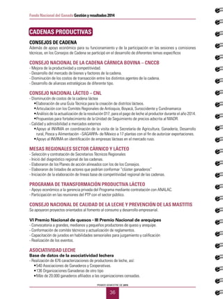 PRIMER SEMESTRE DE 2015
36
Fondo Nacional del Ganado Gestión y resultados 2014
CADENAS PRODUCTIVAS
CONSEJOS DE CADENA
Además de apoyo económico para su funcionamiento y de la participación en las sesiones y comisiones
técnicas, en los Consejos de Cadena se participó en el desarrollo de diferentes temas específicos
CONSEJO NACIONAL DE LA CADENA CÁRNICA BOVINA – CNCCB
- Mejora de la productividad y competitividad.
- Desarrollo del mercado de bienes y factores de la cadena.
- Disminución de los costos de transacción entre los distintos agentes de la cadena.
- Desarrollo de alianzas estratégicas de diferente tipo.
CONSEJO NACIONAL LÁCTEO – CNL
- Disminución de costos de la cadena láctea
•	 Elaboración de una Guía Técnica para la creación de distritos lácteos.
•	 Articulación con los Comités Regionales de Antioquia, Boyacá, Suroccidente y Cundinamarca
•	 Análisis de la actualización de la resolución 017, para el pago de leche al productor durante el año 2014.
•	 Propuestas para fortalecimiento de la Unidad de Seguimiento de precios adscrita al MADR.
- Calidad y admisibilidad a mercados externos
•	 Apoyo al INVIMA en coordinación de la visita de la Secretaría de Agricultura, Ganadería, Desarrollo
rural, Pesca y Alimentación –SAGARPA- de México a 17 plantas con el fin de autorizar exportaciones.
•	 Apoyo al INVIMA en identificación de empresas lácteas en el mercado ruso.
MESAS REGIONALES SECTOR CÁRNICO Y LÁCTEO
- Selección y contratación de Secretarios Técnicos Regionales
- Inició del diagnóstico regional de las cadenas.
- Elaboraron de los Planes de acción alineados con los de los Consejos.
- Elaboraron de listados de actores que podrían conformar “clúster ganaderos”
- Iniciación de la elaboración de líneas base de competitividad regional de las cadenas.
PROGRAMA DE TRANSFORMACIÓN PRODUCTIVA LÁCTEO
- Apoyo económico a la gerencia privada del Programa mediante contratación con ANALAC.
- Participación en las reuniones del PTP con el sector público.
CONSEJO NACIONAL DE CALIDAD DE LA LECHE Y PREVENCIÓN DE LAS MASTITIS
Se apoyaron proyectos orientados al fomento al consumo y desarrollo empresarial.
VI Premio Nacional de quesos - III Premio Nacional de arequipes
- Convocatoria a grandes, medianos y pequeños productores de queso y arequipe.
- Conformación de comités técnicos y actualización de reglamentos.
- Capacitación de jurados en habilidades sensoriales para juzgamiento y calificación
- Realización de los eventos.
ASOCIATIVIDAD LECHE
Base de datos de la asociatividad lechera
- Realización de 676 caracterizaciones de productores de leche, así:
•	 540 Asociaciones de Ganaderos y Cooperativas.
•	 136 Organizaciones Ganaderas de otro tipo
•	 Más de 20.000 ganaderos afiliados a las organizaciones censadas.
 
