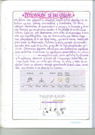 DE I A 5 
vft&bofa oo6^eicW o wwx06u&^o j <eoos<C oActaooes v ¿ i Jet­a 
o s " f e c o ^ ^ ops f © í m « W c x a í á o c a los M o i t a <^ 6 ü e s t a u c W > 
ta%OQs. (j¿xi¿%L oW^^cnoS ooa. cilio. Q w i ^ 5 ( o ¡ p t o 0 PvriV 
r o a ¿ ooa o V y o í G U o o j C c f e a , que " t e en>oceo<> qje $ W x> 
pcxo )<x£< o, e b s & ¿ ^ ó t a HoTofYYC^tac&ota, o p o ^ e p < o o O c o . í $D 
q o e t e ¿ i e > QQ so ¿ t a , p a c a t a ^ í ^ a i c o ^ K a t a á t a s A0' 
rrc£frs ( j A o s e o i c o ü s ^Ojoocci ^ o d o í c 5 & coo é » o s W ) u o s ^ p e a & c ís 
u^po,(.tam'oc¿, <poxo. opQlaW o ¿ < c ^ ^ £ 
-0 ^ . 0 . M >• • v«s u^^CK^v^mioooJ^ ooxo O O < ¿ I Q  Ü X a oi<c^t^ 
LmpoÁ^Q. V i e ¿ &n coeri^ g ¿ 0 ¿(nmq^ ta ¿eTota ^ taioó ta 
ojotas VtOeeo oo 0tocr>eo, c^ocpe ójícec^roccie <¿ dbsQ™oAe6 v#coo3 
<bóo Ü O D 6eao& a or> ^otcooitab Yvonnes, 
molécula virus 
(7/ V¡ 
bacteria celda célula 
animal vegetal 
y 
I i • iiiini l i i nuil iJ I I i II lili II l l l l l j 1 I llllill 1 I I I ¡ l l J 1 L I lili J 
.1Á 1 mu 10 nm 100 nm 1 pm 10 um 100 pm 1 mm 1 cm 
Olma I n » Kln K0M> • iim lli*» VSfym 
 
