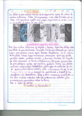 I A tfcoV> esocfc* osioeo. ' K Y Í C M T P I í&oo oc^ov6^o ccvOo,7. o,cW áp 
ntoC&O DOOoOdOQi "c¿C6 V * ^ Q w « n 0 3 o^OCs tardes ftx.cé- 
0jO^^c6 Qo e«c» ^o^b(&c&~ WOÍDOÍÜO ^ ^ A L I C O ^ ^ $WY)C*VI _op€ Go 
v ^ ^ o ¿ a c  o . O v <CÍV«ÍO ^ o o , WorocijD ¿ f e ^ W w t x . Eo p| toWi&c 
cxex&j oíooocj^c eo^sC y ¿roo^< x'evojos. EA t r o c i ó 
?$os <QQCÜOC€S t>e feoxi ^ ^ t c l ^ m D C^cooioo ¿joc prt>Jieat_ 
V o o o » pcát><ix (MvQ^ ty<¿ ¿ y > c W (jvxnWy T o ó o s las ( ¿ t a t as 
,V c y abeotX'A (3 cspcodocccíi y 4 p&3¿ ¡^ los 
cwacfevQS o l a ¿ e s c S b ^ ó d . raos y o W 'Jomerasas 6» m i í í í o á t ?s 
W ttvxW VDolécote ta coci&soo leo cxíoaies 
pArn&06 QOC D$^*eci&on £ o W U fero^ 
ffoj A ^pos oél*7 tas; 
. L •' - • 
* |1 
and 
 