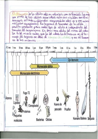 íeetíTQ c o n f i e p ^ a a * t a -fcpo ¿9 c¿C>V> e í n ^ p ^ ^ e 
icKinaíiO eA Ur^cvemo.' £^ ^ota Ooct (¿iota <iá TS6O«Í Ü cabo-lio 
* M 
mm Inro IOIWI 100im l|«n 10|un )0P|im m m Olm Im lOm lOüm Ib 
J 1 1 1 1 , h | ) J i | Um ltMttl»j . , tty¡|([ | ¡|l tJ i .miJ i 1 1 
 