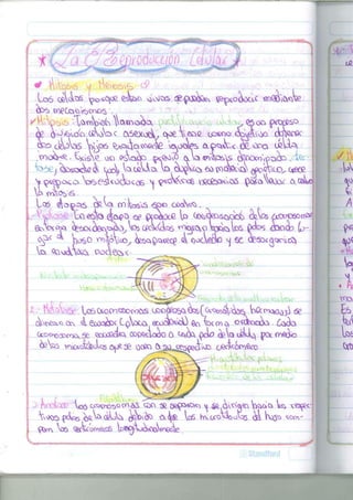 - 
LoS (¿l^VoS ^>o^o2 íepOB^ ^pcoí^oaC twC&towe 
- 
•}VYQ^S Tü*A>ek onno^ov . 03 oo petroso 
¿o^oo (Áotac ftSeXotL c^oeVeoG. tP*oo ctadvoo cbWfi 
^ <J¿¿>W Wpó ^XA^O <^o<»£s ap^;< & OOQ I¿UA 
fa^j ^osoÁe 4 ^o> ta ¿ I d o , ta^ cbgtao €a ÍOQW^ ^huo^, c<ee£ 
^ 9«epo4o VeesWéb^oS ^| - e ^ o W ^ V^CÍ^KVOO po,<aV)o¿ ¿xcstaj 
, Goeeta <¿o,<>a se pfcipcfi IP c ^ ^ s a o c í o Satas « ^ 0 5 0 ^ 
e^ t a o p ^í*x^^ta,Wcpá* ( o V s ^ 0 ^ 0 taitas Octas ¿ * o < i ) (p- 
^ V)oso tata(6oy W^ * e c £ A < 
Vioso ^'ta((joy W ^ s e q ? ¿ oodetk) vj se aMoccj^eo, 
VW 
¿ W » * C3r 4 eooc¿o< Cptaüoi erjoefcácO eo 01 o Coacta. ¿o¿a 
CK^XVOÍDCO^ ífe Qocosóta TOQdtooo O peta áeta ¿Uo, jpOc o^Gota 
tetas trucscfe&otas 0^35 occo &s>^ff>A;oo oeotatai&o 
A 5¡ 
i hoám: tas ^rotj^^&S oo te GfeO^sc^v, ^ 4^ o^<g^n ta><^ ta <^J? 
fe w 
^>o.pVtatas: ycta^4 
W f t a ^ ¿ 
O^TA tai QB^ta&caS W<^tao<xopnyQcta 
1 
 