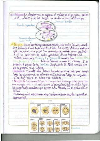 • 
35 0*< 
roemos 
ruejos cétabstaf>5 
/ tíei^S € 5 0 0 ^ V ^ < o W t a o <se*üoL tne&o ¿ i «OC^ OOO cft- 
Aota Q/voWiOe. v^2.r>) ^xP^^f0^^"1^ O^U^Q^eS <áo>W^ 63^5ÍvXi^ 
<^K í¿s«ja<oí <*ta c^ita* Vos ao^osocoos QS<^ co«o ^.sjieóc 
^r<ool CN c^poívQxc^ Jg_ oo^o ÓJWICWO Caletas ta>^o^ ¿ n ) 
/^wJcos k>kí>ioces, 
•jnsa&íta 4 pícxíso os tav-Vaesta-ft (j^owCA<^óta 06 Í^V¡) fi^'vtac ota 
^ {ptofiÁd <*o. vntao*^ 
•xc^ta £ VtosoAe ssta ^aipa. taa rW»«rtovos j& uooo país- )oW>- 
ogp ol Ctócno5ocAo6 Se eA<ec*ow> C<Wfimt^ taop <se s * ^ « o 
AOSiS AL loó GeOcnÉ&OCÓ Wtr>0<OCtS Ope tas'CAO.Ci UOsO<3íáo~ 
e¿^p>Kcx^ ^ *>£ o^¿bo^^WTnbceos ¿QÜS abluios í^ia» 
Y^¿oCie. ce£Of&t)üC ojee (rtvNvO ex ta ^feSQSo 3X pcoctade lo» kr 
, . 
V 
- V i • 
SI 
J t a A 
l*M<i*^l:lln 
O ; 
4—. 
 