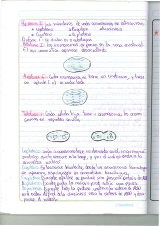 Profese.  : 6e. o^oec en ^ ^Joéa^os . 
Hártase. X . U s Oro <YK>6oc^oS ee p*>©o ^ A TJDCDI ec^óWoJ. 
S oso tao™ ¿álfio a p é e t e ócsareolio¿bv 
apWot C v>) c&A^ tato _ i 
T e l e l e K GQQO* ce^oW V^C* " W e -i CCOÍ^O&OCWO.^ tas orocwo 
c ^ o r n ^ s e <ep<xigck o o o o^ * -.1 </A 
p e t a t e o ó|oelo xeccxce ex Vo votop/_Y-^>o< ¿ ujol $e &<X4A Ó- 
I Gnv)o<t;o> ^octaoX 
£¿yecrp- ^ftVaog>oc£ WoteoVe, aportas c ^ w a b ^ o S UOWIO6D< 
^^j>y b&<D¿&M&& a^x»oVvo^s tat^cU Ojos. 
^tataoo e^e ROCJCO  « meos^ ifOíát £otcU OOQ ^O£^ 
^ ^ s l - o e ^ fciocot^ taita lo. Oídbs^ (x^Vooolo 6 i o W ^ AÜJ 
foN&C d K)Oa£oV — 
 