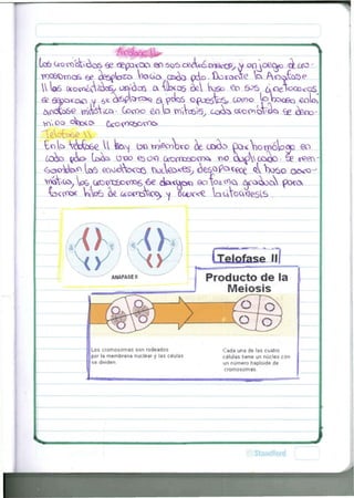 voo^wcfc i^otJO VioGo o&oo> oAo. Ü o x o o T e ta A o o . ( W ^ 
Wtaó 0tocn¿(^C3^ un»'Óc6 Cv 4lWoS od taso £o £ P 6 A ^ e ^ c c QS 
^oótc^e mócciv Gocoo ID mecate, c o o ^ c&oo^bva^ ¿£ ¿soo 
tota Vejase U laosj bfi v^xecnVo ¡ta Cí*ta CQ^ VjomnóWgp <SO 
i o t a ¿o» tata, ü*)o €500 C£ocncáococ> oo óptfVoo^o. 
^ocAtao tao eoooWoc r>oA<2o*es, <kso padece ^ ta^o acxo 
w ^ o a , ^ UDÍTCBD^S 6e cta<^o<o ©ofo¿^o, <ya&oo pxo 
ta<o^>< WP5 oe ^osoóW^ vj octave taoVots<?esvS . 
 
