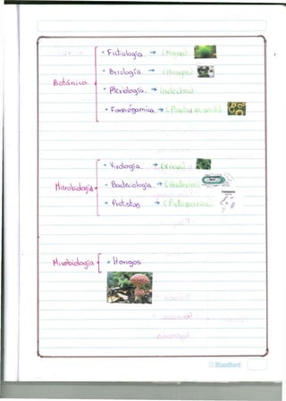 ' bucVocyOi. 
Protozoarkq 
z—~~ i— / * 
PÍOV6VÜ5 — ^ i efe ¡DOS / 
 