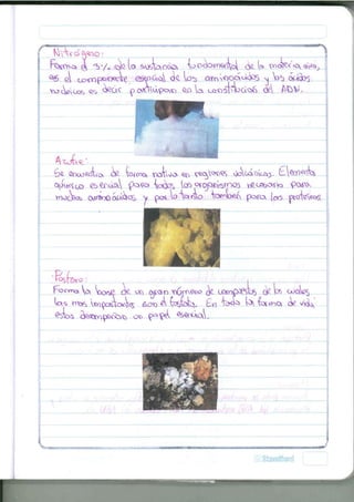 — — i i i i —- .4 •• ; -i j - l i . M i -— J • . i . : : •••Í.JI» A ^ -TJ-I.-I i « — 
í ^ n - ^ ¿ ' * > • / „ .f¿<2 U s » v & b o ó a v {oo^yner^ <k U wck<ta**S 
^6 el a^poDo^e. e5^¿ta ck tat> ar^^oa^te ^ V>b otafe 
6<l Qcxx->eoW ¿12. Ww¿> YXJ^vJo. ^^QS vtao^c^. 
^^(jo es^ootal f^co» ta«ta> tos oíop^rno^ rftoaboí'to PCXÓXX 
vno¿iob a^tv)0 otados y O Í * , lo "ta «4o tai^W poro, (ati ]ptoV<^6'. 
FofytM> ta Wx^íi 
tas ta)^c»(>cW Sor) A (^(kt-V £r) fe<^ ta tac-^o, ae 
 