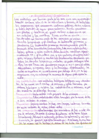 t.bvQ WQ:¿LO.taS.-. J¿)»r C^Cyx.OfrS Í 
l o ó roo&i)tas. oo£ tasrOOO ipaAo & W 6o«p^o^~ 
-Wecke ^yn'iVvft Qrí^<N ta 30 <a&Voco<A NJ ferxx^ Uctatata 
ÜDX> pWotas sj ta^cVv^.<h£ ^oacta o^fccDií 6v d t ó e í v j O r ^ ^ opt 
eWedcs ixo^é&"iíS ^ Í eta^íccro So bpionnpnt*, prima «vos y 
^te¿txcros,-(j 0 a Qc¿Q^erta> tío^n¿i6p€cr6cLW pacota 
^ »  « l  ^ * w  < k v^-.. l?* ^•T" A*'.' J7 V ^ — — Y ' 
xna&xn&kfi- ^ y • & t a ^ae^o ovo^ GaítaxTo, Y ^ O ^ O , tacVo- 
<tfp, ®X^«TÍO/tabWo y Ortot*. l o s Uo^€roerta> ^ o W o S ^PO 
taoOS los Ao^orlo^ ViOO)^éScoS v ^ W W (£. OJfck, OVói/OOjVj'ÑC QoVe 
^^potafbta, W^^eS^ CAO 40 lo^ltac^OOOJ CM^fo«pW» ta> 
GoaWí& OqLOffWoA ^ (o*WfcaüPOes £c*r <O^C3»VJD i¡dO.V- ** (05 
o* o p o n a s 6o eoVos^o ta QviserxjuX ¿e. olc^oro ^J^coptocta 
lo$ L^itaÍv^¿kíÁc3Sr &QÍ). roo¿cota% VrcloOjvOCB br^Noc^s yyoy dbüidan- 
Pitaco, tackog*>o v oy^ofnz,, caítaj^á^ics o 0"*6CO.<Q.^ sttp^ 
^ ftviOSo ta "tacs fet>ta ^ f t p" , t n n <fc p e a ^ ^ 
a-zoca 
^ oet o™£¡e&s &rpz$fr£> 
ta^.^sfWs : (o«i^>6o OovroWe ^° ¿v<er 
< c°° l^<,5^) Ux<tano^ ta^^ 
íi<£xOS oovoo^fis c*- axo^y inctao oecsW, 
v«25 k vs^taxiQ6, aox^D d « 3 V á s t a n o s o? te» VCB<* 
^voavoQs^ta c^ccs^ o^fi. ta^oíja.^or (6 catanas, ^ ü r ^ Wxo-tai 
"o^ta, tactafr .o ociiW Oe Votókota.,ta>• (^taca^^ 
 