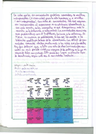 vV 4^wOfS0^6cWs^ ¿áoo estas £> owÑ^ctacta} W <^oe *^vx<^ 
€£r o<XKOO*£¿OS 0¡ CXQFVCVÓÍYYO en ^ (j^VAo^ cxVv^tackx^ y, 
Yx?C£sYcy ec. ta ^'staoü-CX O <^{tacr¿kó. Cvcnoo^cA0^6 £¿><¿oao,^ 
fe 
Vcp^uo ^ 6 C U S « < N U C V ^ pbtaicx>& «ft tas qoe. Ico o j é e t e o ta 
taWcota t o « # i t a ^ Wta^i ta aVweaW^k. tas tóaV ¿eawv 
r*o otate» ^ s ^ a t a ofecW* rnoáaomcís a t a » tV«£ qoe&Wtíbcífet 
^o^ &^$>JJ>¿ noe, ó tata uno Goo b¿ Atas í a ^ i r o a a ^ c í ) e»v- 
UOW) Yto -sesos ÓIDWV; z^xr jhoopoa ta fct^no^ (o d$ 
xeciOB*& ^xV)0 awxnoocidO^^ 6>o2oe¿ta<: Vo©)C< c x ó , t a ^ oW {ipo? 
I - 
V^e^o p pa<ta cov<ta, 
^ta~ p^V^OAl^^ ; C^€> 
rtAr. c^«tarfveta> 
coa* COOH 
CftOM CMTH ,nr-it iijiirii 
ttirionrc Cyett-iiM COOH CDOH 
AspírtR Gtutímc 
¿Clll ACKl 
rtv>H MVÍ-C-H 
o m9 
Ax|)<idijme 
HJM'CI 
C O O H C O O H • 
' '' ' i 
COOH CO^H 
HlN^l-H H^-f.-H 
íl Ctt» 
OH* 
COrtH COOH 
<; iiiiii in-¡ 
^OOH TyiOM COOH 
H,H'C í 
 