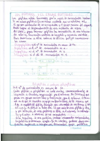 U Y , PEINOOS V F.L E E É f E P T t o  (n 
Los p44ppV ooí> esW) -foíroocip3 pos U o don Orn5>&u<3G6 *>ieoW- 
* qf opo t£*W><Vo o£ O ? ^xviv^^cife y ^ o^ooo axnV)o ¿p 5^o1^ 
oi áo5^<en¿i^i6^o áe. oocx, T O O  « O W 0,0,00, 
Aoí £¡es ^ po^o, "to>roo*r pe^TíA* bb o^qj^aí)0b 51 vtao Ostaga 
Ves cocncy. 
6? c^to<6o$c6 65 3 
ayvix)oado^ es «4. 
0 
ú 7 
&o^ooc*acs es 
-lo 
fosa» ots e^o(X> oxWono Vt*e y WY^xc^p §OG ¿ Oc^e^o. úrV™-- 
Cft-CQ-Yi fexcWifiiíD CK OQ05 elos. Lo Cjoe O 3 Í 0 ^ OocÉ, flípbta y ofcoj 
y Q Í ^ l á ^ 0PQ5 proW»oc£ Q es^ n6í***0, U s)o¡fo*}V 
*to vj el G & O ^ O 
0 ^eoúo, ¿e 5  J S o^tr^o^os 
& U W^¡icó^s. wo, oroao aoooce. vsovcocne^ 
I lo 
1 flv 
*? 0Vfl»í)0Ó¡OO^ 
• ^ 1 ^ 3 . — " "I  ^ - V N - V - v . r - - * . " • ••- • ^ > 
Lo>OíoVe(oo ^ a í ^ s ^ s o s s^U.*^ ^> c^^bo, ^oo>oie ^<os>cow- 
 