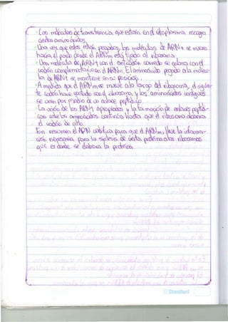 I W vn^ecdpi Á $cW*ta c£x*ec^> ££ edoto,tonel 
A m á  c ¿ opc & teVm* vn^oe cxo tasco S Ü X ^ V T A , A ¿ g á ^ 
6e o o ^ 90^ r f W s c ¿g. 0^ ofaa¿ ^ef<ta>co 
k^ootabcs j tata, c o c i d o I 
. • 1 
- 
V 
1' 
• 
i 
 