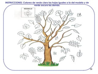 38
INSTRUCCIONES: Colorea de verde claro las hojas iguales a la del modelo y de
verde oscuro las demás.
 