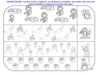 41
INSTRUCCIONES: Encierra la flor, el plátano, la zanahoria y la bellota que están más cerca de
cada animalito y colorea el que está más lejos.
 