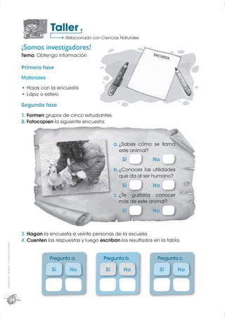 Taller
                                                                 Relacionado con Ciencias Naturales

                                              ¡Somos investigadores!
                                              Tema: Obtengo información                                 ENCU
                                                                                                            ESTA

                                              Primera fase
                                              Materiales
                                                Hojas con la encuesta
                                                Lápiz o esfero

                                              Segunda fase
                                              1. Formen grupos de cinco estudiantes.
                                              2. Fotocopien la siguiente encuesta:



                                                                                        a. ¿Sabes cómo se llama
                                                                                           este animal?
                                                                                           Sí           No
                                                                                        b. ¿Conoces las utilidades
                                                                                           que da al ser humano?
                                                                                           Sí           No
                                                                                        c. ¿Te gustaría conocer
                                                                                           más de este animal?
                                                                                           Sí           No



                                              3. Hagan la encuesta a veinte personas de la escuela.
                                              4. Cuenten las respuestas y luego escriban los resultados en la tabla.
Distribución gratuita - Prohibida la venta




                                                           Pregunta a.            Pregunta b.             Pregunta c.

                                                           Sí      No              Sí       No             Sí        No




                                         44
 