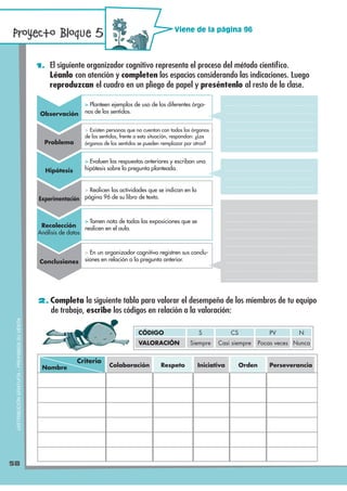 Viene de la página 96




                                              1. El siguiente organizador cognitivo representa e...