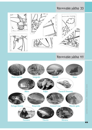 Pasto marino            Langosta                Manatí                      Raya




                                     ...