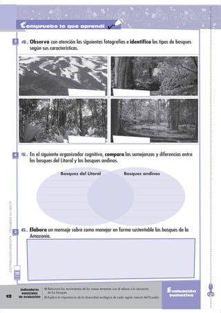 Compruebo lo que aprendí
                                               2
                                              Puntos
                                                        4. Observa con atención las siguientes fotografías e identiﬁca los tipos de bosques
                                                             según sus características.




                                               4        5. En el siguiente organizador cognitivo, compara las semejanzas y diferencias entre
                                              Puntos
                                                             los bosques del Litoral y los bosques andinos.

                                                                                 Bosques del Litoral                              Bosques andinos
 DISTRIBUCIÓN GRATUITA - PROHIBIDA SU VENTA




                                               3        6. Elabora un mensaje sobre como manejar en forma sustentable los bosques de la
                                              Puntos
                                                             Amazonía.




                                                20
                                                Total
                                               puntos




                                                        Indicadores
                                                         esenciales
                                                                       Relaciona los movimientos de las masas terrestres con el relieve y la ubicación
                                                                       de los bosques.                                                                         Evaluación
12                                                     de evaluación
                                                                                                                                                               sumativa
                                                                       Explica la importancia de la diversidad ecológica de cada región natural del Ecuador.
 