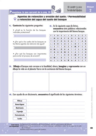 El suelo y sus                   Bloque

Practico lo que aprendí de la pág. 29                                                 irregularidades                    2
           Agentes de retención y erosión del suelo / Permeabilidad
           y retención del agua del suelo del bosque

1. Contesta las siguientes preguntas:                      2. En la siguiente sopa de letras,
                                                                 encuentra siete palabras relacionadas
     • ¿Cuál es la función de los bosques
     naturales protectores?                                      con la importancia del bioma bosque.
                                                            F     Y    D    E     C    I    D    E     Z       Z   T
                                                             I   W     U    R    P     B    O    S    Q        U   E

     • ¿Por qué a los suelos de los bosques se              T    O     P    O    G     R    A    F     Í       A   R
     los llama agentes de retención de agua?                L     B    O    S    U     E    L    O     C       I   R
                                                            L     E    T     I   K     Z    E    M     P       E   E
                                                            U    M     L    Ó    R     A    Í    C     E       S   N
                                                            V    Q     U    N    M     G    C    A     S       E   O
     • ¿Por qué los bosques son importantes
                                                             I    E    T    L    K     O    E    M     P       E   R
     para evitar el proceso de erosión?
                                                            A    M     L    D     E    S    L    A    V        E   R
                                                            A     L    E    D    A     Ñ    A    A     S       E   T


3. Dibuja el bosque más cercano a tu localidad; ahora, imagina y representa con un
    dibujo la vida en el planeta Tierra sin la existencia del bioma bosque.




                                                                                                                             DISTRIBUCIÓN GRATUITA - PROHIBIDA SU VENTA

4. Con ayuda de un diccionario, encuentra el signiﬁcado de los siguientes términos:


           Filtrar

        Amortiguar

         Nutriente

          Esponja

       Fotosíntesis

           Lecho


   Indicadores   Argumenta la importancia del bioma bosque para la supervivencia del planeta.
de evaluación:   Reconoce términos nuevos en una lectura sobre permeabilidad y retención de agua en el suelo
                 de un bosque.                                                                                           19
                 Infiere situaciones a partir de hipótesis.
 