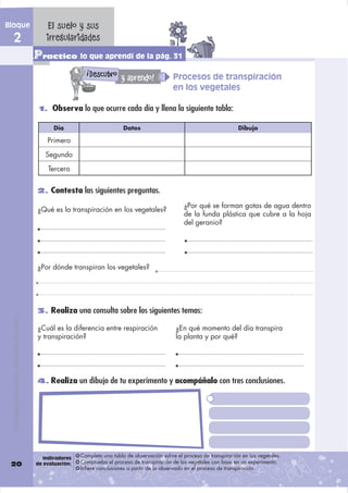 Bloque                                             El suelo y sus
  2                                                irregularidades
                                               Practico lo que aprendí de la pág. 31
                                                                  !
                                                                      Descubro y aprendo!              Procesos de transpiración
                                                                                                       en los vegetales

                                                1. Observa lo que ocurre cada día y llena la siguiente tabla:

                                                      Día                         Datos                                            Dibujo

                                                   Primero

                                                  Segundo

                                                   Tercero


                                                2. Contesta las siguientes preguntas.

                                                                                                           ¿Por qué se forman gotas de agua dentro
                                                ¿Qué es la transpiración en los vegetales?
                                                                                                           de la funda plástica que cubre a la hoja
                                                                                                           del geranio?




                                                ¿Por dónde transpiran los vegetales?




                                                3. Realiza una consulta sobre los siguientes temas:
  DISTRIBUCIÓN GRATUITA - PROHIBIDA SU VENTA




                                                ¿Cuál es la diferencia entre respiración                ¿En qué momento del día transpira
                                                y transpiración?                                        la planta y por qué?




                                                4. Realiza un dibujo de tu experimento y acompáñalo con tres conclusiones.




                                                  Indicadores   Completa una tabla de observación sobre el proceso de transpiración en los vegetales.
 20                                            de evaluación:   Comprueba el proceso de transpiración de los vegetales con base en un experimento.
                                                                Infiere conclusiones a partir de lo observado en el proceso de transpiración.
 