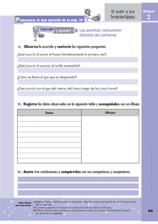 El suelo y sus            Bloque

Practico lo que aprendí de la pág. 35                                                 irregularidades             2
                     !
                         Descubro y aprendo!             Las plantas consumen
                                                         dióxido de carbono


  1. Observa lo ocurrido y contesta las siguientes preguntas:

 ¿Qué ocurrió al cerrar el frasco herméticamente la primera vez?


 ¿Qué ocurrió al acercar el cerillo encendido?


 ¿Cómo se llama el gas que se desprendió?


 ¿Qué ocurrió con el gas del interior del frasco luego de las cinco horas?



 2. Registra los datos observados en la siguiente tabla y acompáñalos con un dibujo:

                           Datos                                                 Dibujos




                                                                                                                      DISTRIBUCIÓN GRATUITA - PROHIBIDA SU VENTA




 3. Anota tres conclusiones y compártelas con tus compañeros y compañeras.




   Indicadores   Registra datos y observaciones en una tabla sobre el consumo de dióxido de carbono por parte
de evaluación:   de los vegetales.
                 Contesta preguntas con base en la observación de la práctica realizada.
                 Elabora conclusiones con base en el experimento sobre el consumo de dióxido de carbono           23
                 por parte de los vegetales.
 