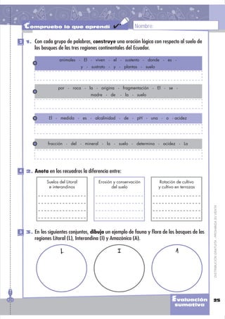 Compruebo lo que aprendí                                  Nombre:

 2
Puntos
         1. Con cada grupo de palabras, construye una oración lógica con respecto al suelo de
             los bosques de las tres regiones continentales del Ecuador.

                          animales - El - viven - el - sustento - donde - es -
                                        y - sustrato - y - plantas - suelo




                         por - roca - la - origina - fragmentación - El - se -
                                            madre - de     - la - suelo




                    El - medida - es - alcalinidad - de - pH - una - o - acidez




                   fracción - del - mineral - la - suelo - determina - acidez - La




 4
Puntos
         2. Anota en los recuadros la diferencia entre:

                   Suelos del Litoral           Erosión y conservación        Rotación de cultivo
                    e interandinos                     del suelo             y cultivo en terrazas




                                                                                                     DISTRIBUCIÓN GRATUITA - PROHIBIDA SU VENTA




 3
Puntos
         3. En los siguientes conjuntos, dibuja un ejemplo de fauna y ﬂora de los bosques de las
             regiones Litoral (L), Interandina (I) y Amazónica (A).

                           L                              I                            A




                                                                                    Evaluación       25
                                                                                      sumativa
 