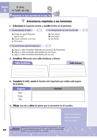 Bloque                                                El agua,
  3                                               un medio de vida
                                               Practico lo que aprendí de la pág. 40
                                                                         Estructuras vegetales y sus funciones
                                               1. Selecciona la respuesta correcta y escribe la letra en el paréntesis.

                                                   Generalmente el tallo:                 (     )            La transpiración es una función de:            (   )

                                                  a. Crece en igual dirección                                a. Las raíces.
                                                     que la raíz.                                            b. Las hojas.
                                                  b. Crece contrario a la raíz.                              c. Las ﬂores.
                                                  c. No crece.

                                                   La savia bruta está formada por:                      (     )

                                                  a. Agua y sales minerales obtenidas por proceso de fotosíntesis.
                                                  b. Agua y sales minerales absorbidas por las hojas.
                                                  c. Agua y sales minerales absorbidas por la raíz.

                                               2. Establece diferencias entre tallos herbáceos y leñosos.

                                                       Tallo herbáceo                                                                      Tallo leñoso




                                               3. Completa la tabla, anota la función más importante que realiza cada órgano
                                                    de la planta.

                                                        Órgano
                                                        Órgano                                                       Función
  DISTRIBUCIÓN GRATUITA - PROHIBIDA SU VENTA




                                                           Raíz
                                                           Hojas
                                                           Tallo


                                               4. Dibuja una raíz y ubica las partes que se encuentran en el recuadro.



                                                                                                                                      Raíces secundarias.
                                                                                                                                      Pelos absorbentes.
                                                                                                                                      Raíz principal.


                                                   Indicadores     Identifica las funciones de los órganos de las plantas en una tabla.
 30                                             de evaluación:     Establece diferencias mediante una tabla entre los tipos de tallos.
                                                                   Dibuja una raíz considerando sus partes.
 