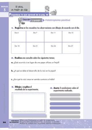 Módulo                                               El agua,
  3                                              un medio de vida
                                               Practico lo que aprendí de la pág. 48
                                                                  !
                                                                      Descubro y aprendo!               Fototropismo positivo


                                                 1. Registra en los recuadros tus observaciones con dibujos de acuerdo con el día.

                                                      Día 4                         Día 7                        Día 11               Día 15




                                                      Día 18                       Día 21                        Día 24               Día 27




                                                 2. Realiza una consulta sobre los siguientes temas:

                                                 a. ¿Qué ocurrirá si en lugar de una papa utilizas un frejol?



                                                 b. ¿A qué se debe el desarrollo de la raíz en la papa?



                                                 c. ¿Por qué la raíz crece en sentido contrario al tallo?
  DISTRIBUCIÓN GRATUITA - PROHIBIDA SU VENTA




                                                 3. Dibuja y explica el
                                                                                                               4. Anota 3 conclusiones sobre el
                                                       resultado de tu experimento.
                                                                                                                     experimento realizado.




                                                  Indicadores   Reconoce el fototropismo por medio de un experimento.
 34                                            de evaluación:   Registra datos sobre el fototropismo de una papa en una tabla.
                                                                Dibuja los resultados de su experimento referente al fototropismo.
 