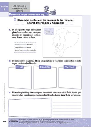 Bloque                                               Los ciclos de la
                                                    naturaleza y sus
  5                                                     cambios
                                               Practico lo que aprendí de la pág. 77
                                                            Diversidad de flora en los bosques de las regiones:
                                                                     Litoral, Interandina y Amazónica


                                               1. En el siguiente mapa del Ecuador,
                                                    pinta las zonas boscosas correspon-
                                                    dientes a las tres regiones continen-
                                                    tales. Ten en cuenta la clave.


                                                       Litoral            Amarillo
                                                       Interandina        Verde
                                                       Amazónica          Anaranjado




                                               2. En los siguientes recuadros, dibuja un ejemplo de la vegetación característica de cada
                                                    región continental del Ecuador.
                                                          Litoral                              Interandina                             Amazónica
  DISTRIBUCIÓN GRATUITA - PROHIBIDA SU VENTA




                                               3. Usa tu imaginación y crea un vegetal combinando las características de las plantas que
                                                    se desarrollan en cada región continental del Ecuador. Luego, descríbelo brevemente.




                                                Indicadores      Reconoce las zonas boscosas de las regiones continentales del Ecuador usando un mapa.
 58                                            de evaluación:    Dibuja especies representativas de la flora de los bosques ecuatorianos.
                                                                 Imagina vegetales tomando en cuenta las características de las regiones del Ecuador.
 
