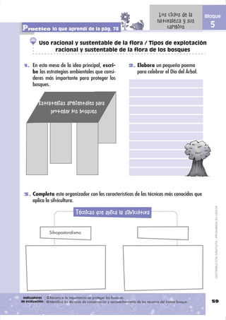 Los ciclos de la       Bloque
                                                                                       naturaleza y sus
Practico lo que aprendí de la pág. 78                                                      cambios               5

          Uso racional y sustentable de la flora / Tipos de explotación
                racional y sustentable de la flora de los bosques

 1. En esta mesa de la idea principal, escri-                       2. Elabora un pequeño poema
       be las estrategias ambientales que consi-                          para celebrar el Día del Árbol.
       deres más importante para proteger los
       bosques.


          Estrategias ambientales para
               proteger los bosques




 3. Completa este organizador con las características de las técnicas más conocidas que
       aplica la silvicultura.

                                                                                                                     DISTRIBUCIÓN GRATUITA - PROHIBIDA SU VENTA
                                  Técnicas que aplica la silvicultura

                 Silvopastoralismo




 Indicadores     Reconoce la importancia de proteger los bosques.
de evaluación:   Identifica las técnicas de conservación y aprovechamiento de los recursos del bioma bosque.     59
 