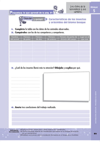Los ciclos de la              Bloque
                                                                                        naturaleza y sus
Practico lo que aprendí de la pág. 81                                                       cambios                      5
                   !
                       Descubro y aprendo!               Características de los insectos
                                                         y arácnidos del bioma bosque

  1. Completa la tabla con los datos de los animales observados.
  2. Compáralos con los de tus compañeros y compañeras.

  Nombre           Número            Número             Número           Número de partes de             Lugar en el
 del animal        de patas          de alas           de antenas         división del cuerpo             que vive




  3. ¿Cuál de los insectos llamó más tu atención? Dibújalo y explica por qué.




                                                                                                                             DISTRIBUCIÓN GRATUITA - PROHIBIDA SU VENTA




  4. Anota tres conclusiones del trabajo realizado.




 Indicadores     Explora el bioma bosque para colectar especies de invertebrados.
de evaluación:   Clasifica diferentes especies de invertebrados que habitan en los bosques de acuerdo
                 con sus características.                                                                                61
                 Establece conclusiones sobre la recolección de insectos en un bosque de su localidad.
 