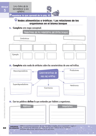 Bloque                                               Los ciclos de la
                                                    naturaleza y sus
  5                                                     cambios
                                               Practico lo que aprendí de la pág. 82
                                                           Redes alimenticias o tróficas / Las relaciones de los
                                                                     organismos en el bioma bosque
                                               1. Completa este mapa conceptual.

                                                                    Relaciones de los organismos del bioma bosque

                                                                Simbióticas




                                                   Ejemplo:




                                               2. Completa esta rueda de atributos sobre las características de una red tróﬁca.

                                                    Descomponedores                                                                      Productores
                                                                                           Características de
                                                                                            una red trófica

                                                    Superdepredadores
                                                                                                                                          Herbívoros
                                                                                                  Carnívoros
  DISTRIBUCIÓN GRATUITA - PROHIBIDA SU VENTA




                                               3. Con tus palabras deﬁne lo que entiendes por hábitat y organismos.

                                                                   Hábitat                                                    Organismos




                                                Indicadores      Reconoce el funcionamiento de una red trófica completando un organizador cognitivo.
 62                                            de evaluación:    Caracteriza las relaciones que mantienen los seres bióticos de un ecosistema.
                                                                 Plantea definiciones relacionadas con la red trófica.
 
