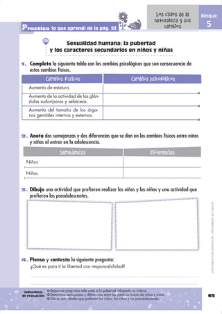 Los ciclos de la   Bloque
                                                                                        naturaleza y sus
Practico lo que aprendí de la pág. 93                                                       cambios           5

                         Sexualidad humana: la pubertad
                  y los caracteres secundarios en niños y niñas

1. Completa la siguiente tabla con los cambios psicológicos que son consecuencia de
    estos cambios físicos.
                 Cambios físicos                                         Cambios psicológicos
    Aumento de estatura.
    Aumento de la actividad de las glán-
    dulas sudoríparas y sebáceas.
    Aumento del tamaño de los órga-
    nos genitales internos y externos.



2. Anota dos semejanzas y dos diferencias que se dan en los cambios físicos entre niños
    y niñas al entrar en la adolescencia.

                        Semejanzas                                                   Diferencias
  Niños

  Niñas


3. Dibuja una actividad que preﬁeren realizar los niños y las niñas y una actividad que
    preﬁeren los p
    p            preadolescentes.


                                                                                                                  DISTRIBUCIÓN GRATUITA - PROHIBIDA SU VENTA




4. Piensa y contesta la siguiente pregunta:
   ¿Qué es para tí la libertad con responsabilidad?




 Indicadores      Responde preguntas referentes a la pubertad utilizando su criterio.
de evaluación:    Determina semejanzas y diferencias entre los cambios físicos de niños y niñas.              65
                  Dibuja actividades que prefieren los niños, las niñas y los preadolescentes.
 