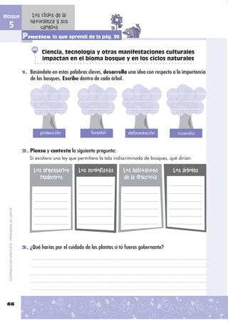 Bloque                                              Los ciclos de la
                                                   naturaleza y sus
  5                                                    cambios
                                               Practico lo que aprendí de la pág. 98
                                                        Ciencia, tecnología y otras manifestaciones culturales
                                                        impactan en el bioma bosque y en los ciclos naturales

                                               1. Basándote en estas palabras claves, desarrolla una idea con respecto a la importancia
                                                   de los bosques. Escribe dentro de cada árbol.




                                                       protección                forestal           deforestación           incendio


                                               2. Piensa y contesta la siguiente pregunta:
                                                  Si existiera una ley que permitiera la tala indiscriminada de bosques, qué dirían:

                                                    Los empresarios       Los ecologistas          Los habitantes         Los árboles
                                                       madereros                                   de la Amazonía
  DISTRIBUCIÓN GRATUITA - PROHIBIDA SU VENTA




                                               3. ¿Qué harías por el cuidado de las plantas si tú fueras gobernante?




 66
 