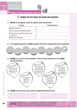 Bloque                                           El suelo y sus
  2                                              irregularidades
                                               Practico lo que aprendí de la pág. 41
                                                                      Origen de los tipos de suelo del pastizal

                                               1. Anota en el siguiente cuadro la relación causa-consecuencia.
                                                                    Causas                                                Consecuencias
                                                    Deforestación.
                                                    Uso excesivo de fertilizantes.
                                                    Quema de grandes extensiones
                                                    de tierra.
                                                    Mal uso del agua.



                                               2. En el siguiente gusanito, escribe ejemplos de la fauna representativa de los pastizales.




                                               3. Señala con una X las fresas dañadas; es decir, las que contienen errores, pinta
                                                   de rojo las buenas.


                                                                                                   Los pastizales
                                                                                                                                                 En la región
                                                El clima del pas-                                  son utilizados
                                                                                                                                                 Interandina,
                                                 tizal tiene una                                 únicamente para
                                                                                                                                                  el horizonte
                                                temperatura de                                    la alimentación
  DISTRIBUCIÓN GRATUITA - PROHIBIDA SU VENTA




                                                                                                                                                 A es bastante
                                                   10–15 ºC.                                        del ganado.
                                                                                                                                                 desarrollado.

                                                                                                                     En la Amazonía,
                                                                          Los pastizales
                                                                                                                        el horizonte
                                                                            siempre se
                                                                                                                       A tiene gran
                                                                            ubican en
                                                                                                                       cantidad de
                                                                             planicies.
                                                                                                                     microorganismos.




                                               4. Señala cuatro prácticas que eviten el empobrecimiento del suelo.




                                                   Indicadores      Establece causas y consecuencias de la actividad antrópica sobre el suelo.
 18                                               de evaluación     Distingue los componentes del bioma pastizal en organizadores cognitivos.
                                                                    Sugiere prácticas para evitar el empobrecimiento del suelo pastizal.
 