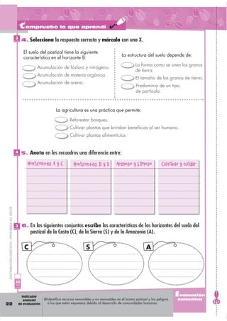 Compruebo lo que aprendí
                                               3
                                              Puntos   4. Selecciona la respuesta correcta y márcala con una X.

                                                        El suelo del pastizal tiene la siguiente
                                                                                                                      La estructura del suelo depende de:
                                                        característica en el horizonte B:
                                                                                                                               La forma como se unen los granos
                                                               Acumulación de fósforo y nitrógeno.
                                                                                                                               de tierra.
                                                               Acumulación de materia orgánica.
                                                                                                                               El tamaño de los granos de tierra.
                                                               Acumulación de arena.
                                                                                                                               Predominio de un tipo
                                                                                                                               de partícula.



                                                                         La agricultura es una práctica que permite:

                                                                                   Reforestar bosques.
                                                                                   Cultivar plantas que brindan beneﬁcios al ser humano.
                                                                                   Cultivar plantas alimenticias.


                                               4
                                              Puntos
                                                       5. Anota en los recuadros una diferencia entre:

                                                          Horizontes A y C           Horizontes B y D             Arenoso y Limoso               Cultivar y cuidar
 DISTRIBUCIÓN GRATUITA - PROHIBIDA SU VENTA




                                               3       6. En los siguientes conjuntos escribe las características de los horizontes del suelo del
                                              Puntos
                                                            pastizal de la Costa (C), de la Sierra (S) y de la Amazonía (A).

                                                        C                                     S                                       A




                                               20
                                               Total
                                              puntos



                                                     Indicador                                                                                           Evaluación
                                                      esencial      Identifica recursos renovables y no renovables en el bioma pastizal y los peligros   sumativa
22                                                 de evaluación    a los que están expuestos debido al desarrollo de comunidades humanas.
 