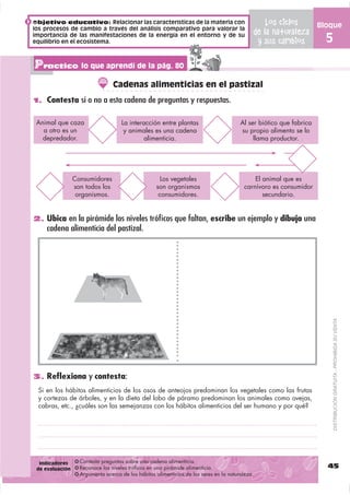 Objetivo educativo: Relacionar las características de la materia con                            Los ciclos
                                                                                                  Los ciclos         Bloque
los procesos de cambio a través del análisis comparativo para valorar la
                                                                                           dede la naturaleza
                                                                                               la naturaleza
importancia de las manifestaciones de la energía en el entorno y de su
equilibrio en el ecosistema.                                                                 y sus cambios
                                                                                               y sus cambios           5

Practico lo que aprendí de la pág. 80
                                 Cadenas alimenticias en el pastizal
1. Contesta sí o no a esta cadena de preguntas y respuestas.


 Animal que caza                     La interacción entre plantas                       Al ser biótico que fabrica
   a otro es un                       y animales es una cadena                          su propio alimento se lo
   depredador.                                alimenticia.                                   llama productor.




                 Consumidores                         Los vegetales                          El animal que es
                 son todos los                      son organismos                       carnívoro es consumidor
                  organismos.                        consumidores.                              secundario.


2. Ubica en la pirámide los niveles tróﬁcos que faltan, escribe un ejemplo y dibuja una
    cadena alimenticia del pastizal.




                                                                                                                           DISTRIBUCIÓN GRATUITA - PROHIBIDA SU VENTA




3. Reﬂexiona y contesta:
 Si en los hábitos alimenticios de los osos de anteojos predominan los vegetales como las frutas
 y cortezas de árboles, y en la dieta del lobo de páramo predominan los animales como ovejas,
 cabras, etc., ¿cuáles son las semejanzas con los hábitos alimenticios del ser humano y por qué?




  Indicadores      Contesta preguntas sobre una cadena alimenticia.
 de evaluación     Reconoce los niveles tróficos en una pirámide alimenticia.                                          45
                   Argumenta acerca de los hábitos alimenticios de los seres en la naturaleza.
 