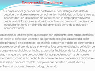 Competencias disciplinares