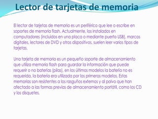 Lector de tarjetas de memoria