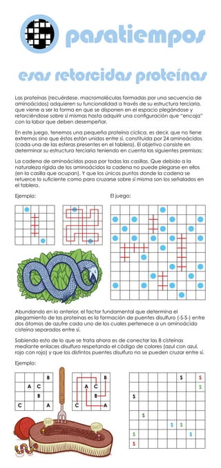 esas retorcidas proteínas
pasatiemposo
Las proteínas (recuérdese, macromoléculas formadas por una secuencia de
aminoácidos) adquieren su funcionalidad a través de su estructura terciaria,
que viene a ser la forma en que se disponen en el espacio plegándose y
retorciéndose sobre sí mismas hasta adquirir una configuración que “encaja”
con la labor que deben desempeñar.
En este juego, tenemos una pequeña proteína cíclica, es decir, que no tiene
extremos sino que éstos están unidos entre sí, constituida por 24 aminoácidos
(cada una de las esferas presentes en el tablero). El objetivo consiste en
determinar su estructura terciaria teniendo en cuenta las siguientes premisas:
La cadena de aminoácidos pasa por todas las casillas. Que debido a la
naturaleza rígida de los aminoácidos la cadena no puede plegarse en ellos
(en la casilla que ocupan). Y que los únicos puntos donde la cadena se
retuerce lo suficiente como para cruzarse sobre sí misma son los señalados en
el tablero.
Ejemplo:
Abundando en lo anterior, el factor fundamental que determina el
plegamiento de las proteínas es la formación de puentes disulfuro (-S-S-) entre
dos átomos de azufre cada uno de los cuales pertenece a un aminoácido
cisteína separados entre sí.
Sabiendo esto de lo que se trata ahora es de conectar las 8 cisteínas
mediante enlaces disulfuro respetando el código de colores (azul con azul,
rojo con rojo) y que los distintos puentes disulfuro no se pueden cruzar entre sí.
Ejemplo:
El juego:
B
A C
B
C A
B
A C
B
C A
S S
S
S
S
S S
S S
S
 