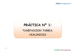 CURSO:Patología General
1
ALUMNO: Elvis Luján Ruiz
PRÁCTICA Nº 1:
TUNEFACCION TURBIA,
HIALINOSIS
 