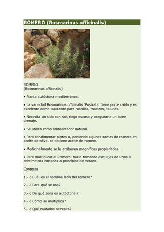 ROMERO (Rosmarinus officinalis)




ROMERO
(Rosmarinus officinalis)

• Planta autóctona mediterránea.

• La variedad Rosmarinus officinalis 'Postrata' tiene porte caído y es
excelente como tapizante para rocallas, macizos, taludes...

• Necesita un sitio con sol, riego escaso y asegurarle un buen
drenaje.

• Se utiliza como ambientador natural.

• Para condimentar platos o, poniendo algunas ramas de romero en
aceite de oliva, se obtiene aceite de romero.

• Medicinalmente se le atribuyen magníficas propiedades.

• Para multiplicar al Romero, hazlo tomando esquejes de unos 8
centímetros cortados a principios de verano.

Contesta

1.- ¿ Cuál es el nombre latín del romero?

2.- ¿ Para qué se usa?

3.- ¿ De qué zona es autóctona ?

4.- ¿ Cómo se multiplica?

5.- ¿ Qué cuidados necesita?
 